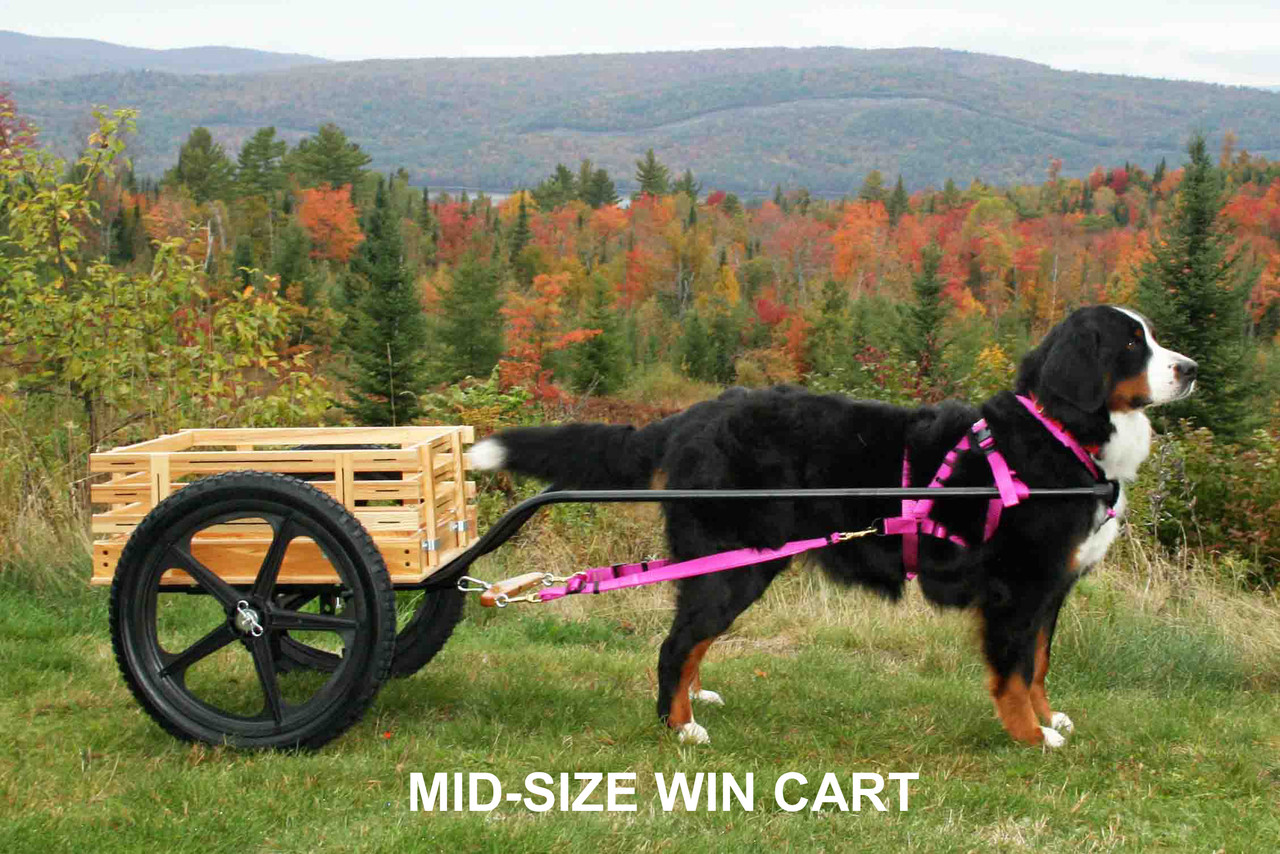 WIN Dog Carts