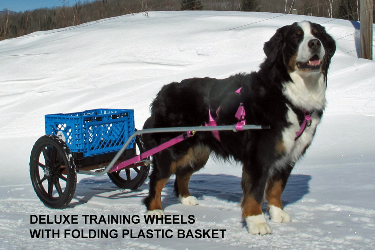Wilczek Woodworks - custom crafted dog carts, dog wagons & dog carting  equipment
