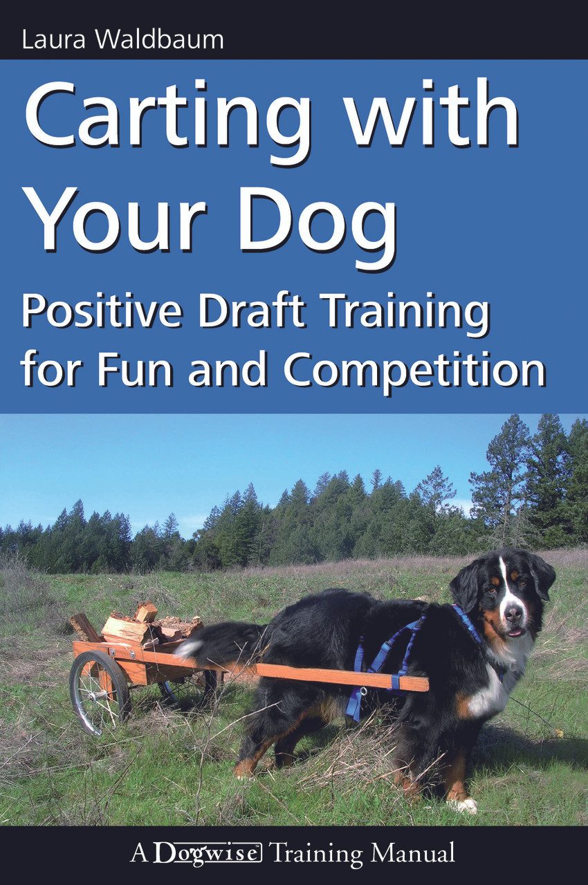 dog drafting harness