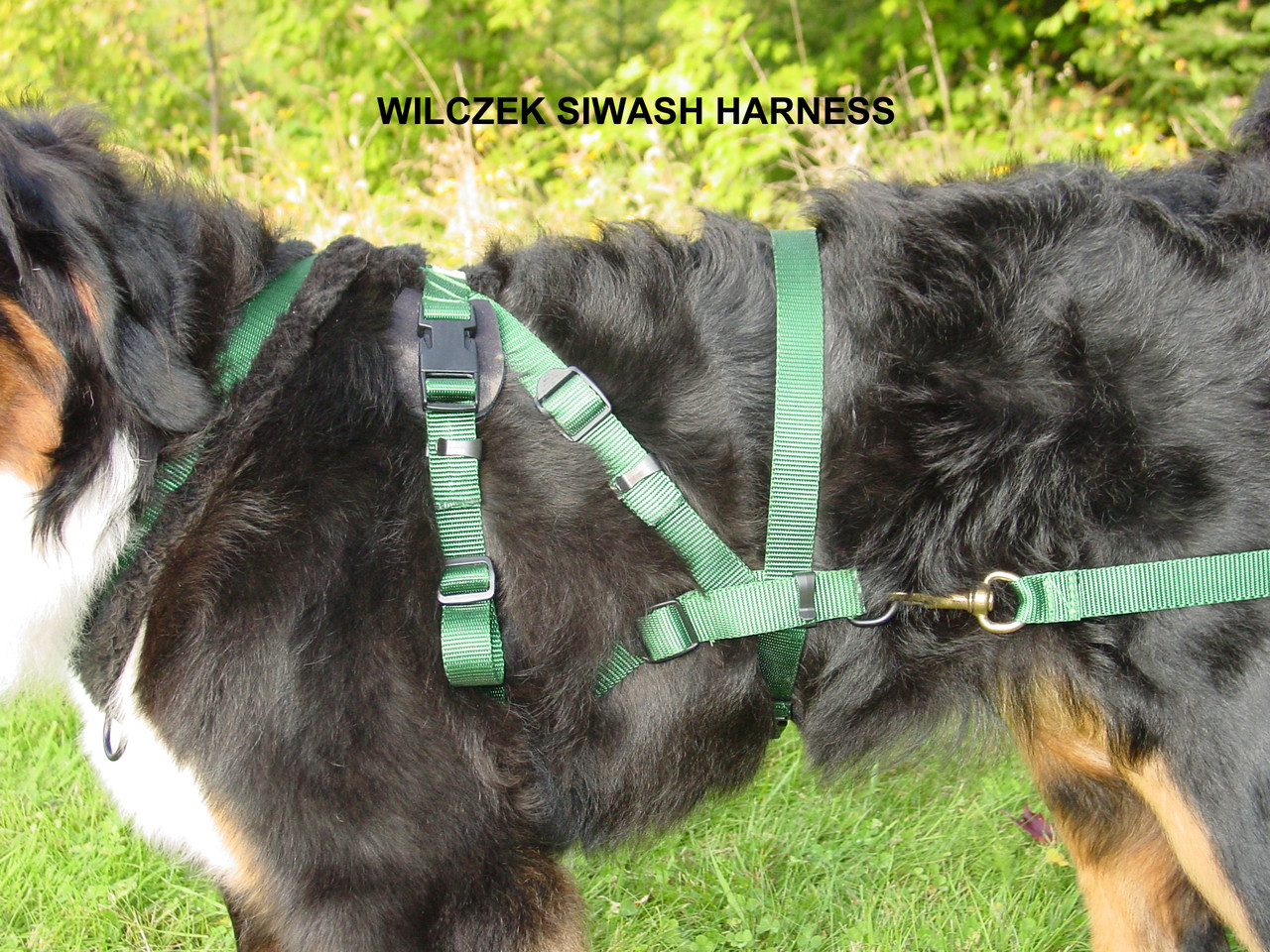 Wilczek Siwash Carting Harness
