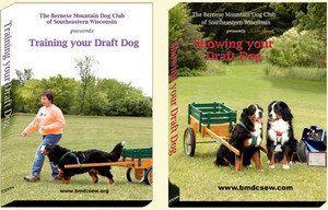 "Training Your Draft Dog" and "Showing Your Draft Dog" DVD "Training Your Draft Dog" and "Showing Your Draft Dog" DVD