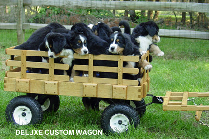 large dog wagon