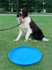 Soft Non-Slip Dog Flying Disc Silicone Game Frisbeed Anti-Chew Dog Toy Pet Puppy Training Interactive Dog Supplies