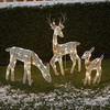 3-pc Lighted Deer Family - Outdoor Christmas; Winter Decoration For Front Yards Christmas Decorations For Home Navidad 2021