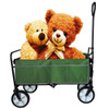 Folding Wagon Garden Shopping Beach Cart