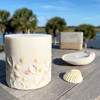 Seashell Candles - Set of 2