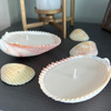 Seashell Candles - Set of 2