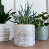 White Scallop Planter