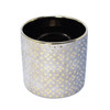 Goldie Dots Planter
