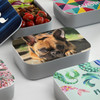 Photo RPET Lunch Box