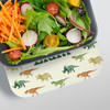Dinosaurs RPET Lunch Box - Personalized
