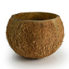 The empty, natural coconut shell is shown against a white background, emphasizing the unique, organic vessel for the hand-poured candle.