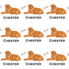 Watercolor Golden Retriever Personalized Gift Wrap