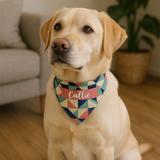 Pet Gifts
