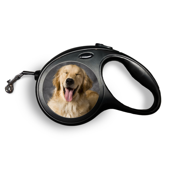Photo Retractable Pet Leash Photo Retractable Pet Leash