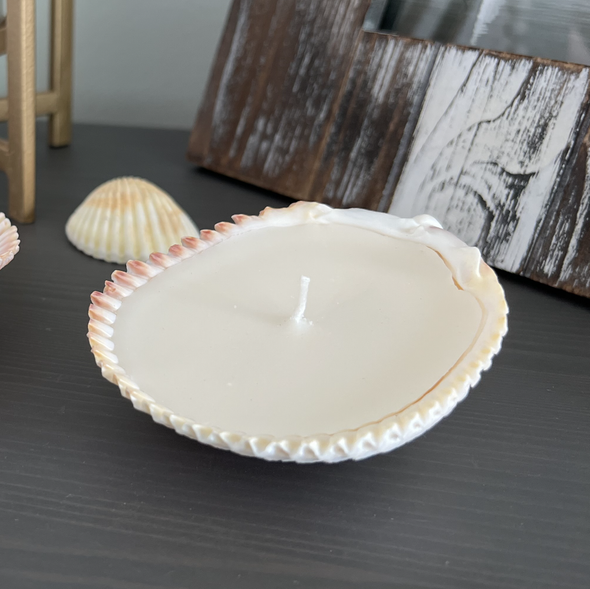 Seashell Candles - Set of 2 Seashell Candles - Set of 2