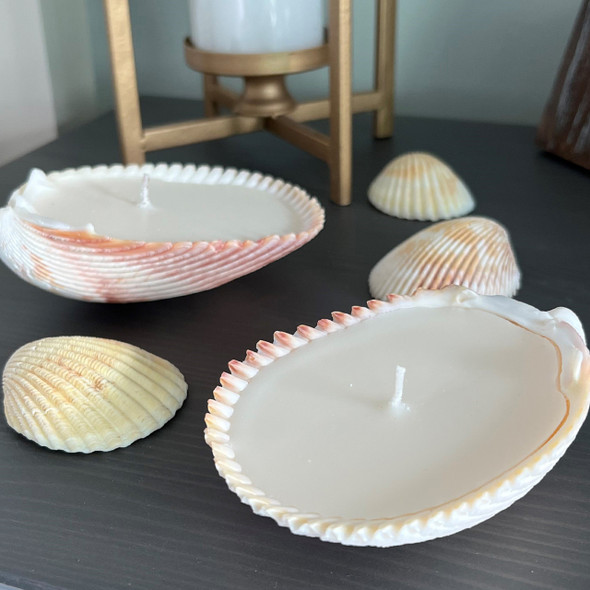Seashell Candles - Set of 2 Seashell Candles - Set of 2