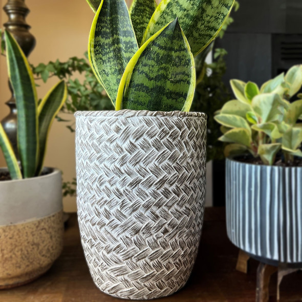 Basket Weave Tapered Planter Basket Weave Tapered Planter