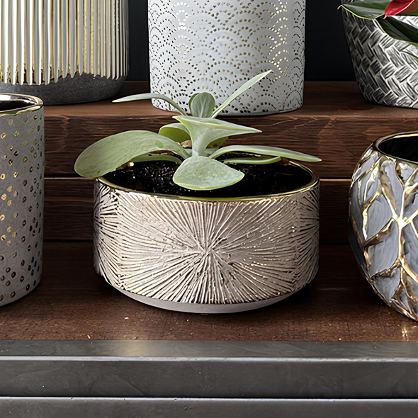 Nova Bowl Planter Nova Bowl Planter