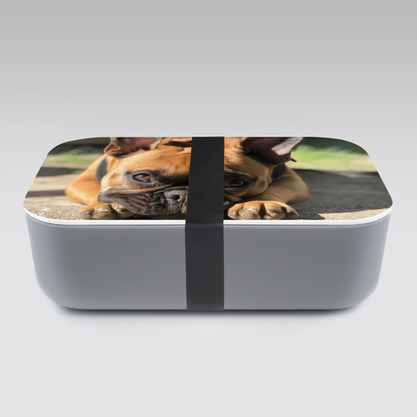 Photo RPET Lunch Box Photo RPET Lunch Box