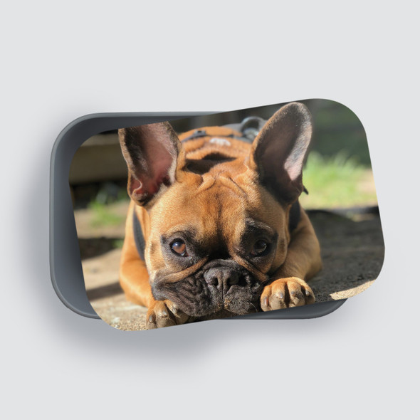 Photo RPET Lunch Box Photo RPET Lunch Box