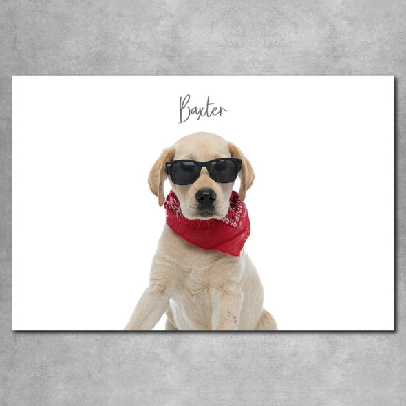 Canvas Wall Print with Text- 24" x 36" Canvas Wall Print with Text- 24" x 36"