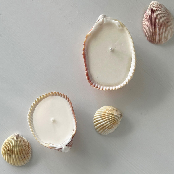 Seashell Candles - Set of 2