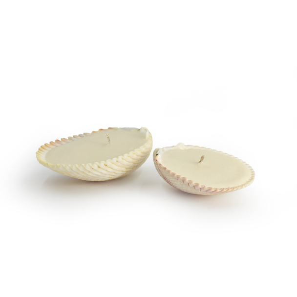 Seashell Candles - Set of 2
