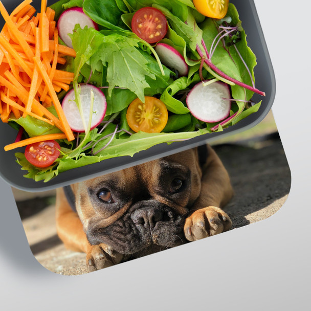 Photo RPET Lunch Box