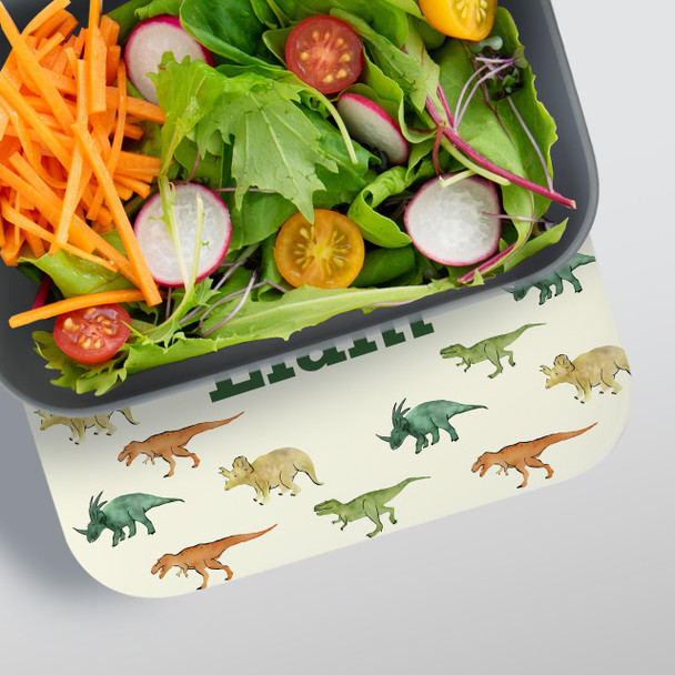 Dinosaurs RPET Lunch Box - Personalized