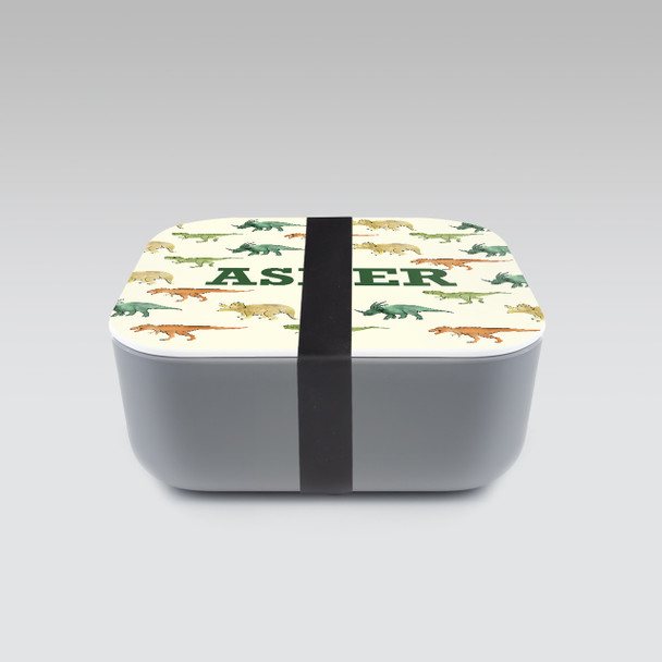 Dinosaurs RPET Sandwich Box - Personalized