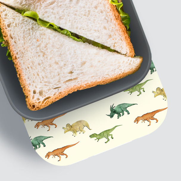 Dinosaurs RPET Sandwich Box - Personalized