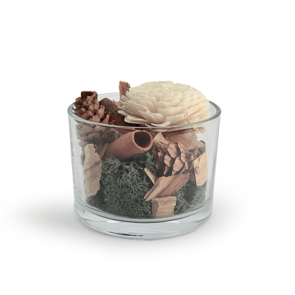 An isolated product shot of the potpourri diffuser in its glass vase against a plain white background, highlighting the beautiful arrangement of the natural decorative elements.