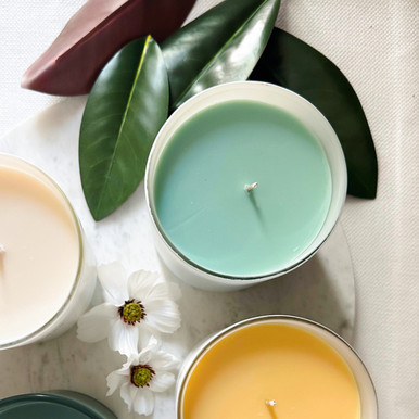 The Driftwood & Magnolia candle is shown as part of a larger collection of scented candles, highlighting its clean and sophisticated design.