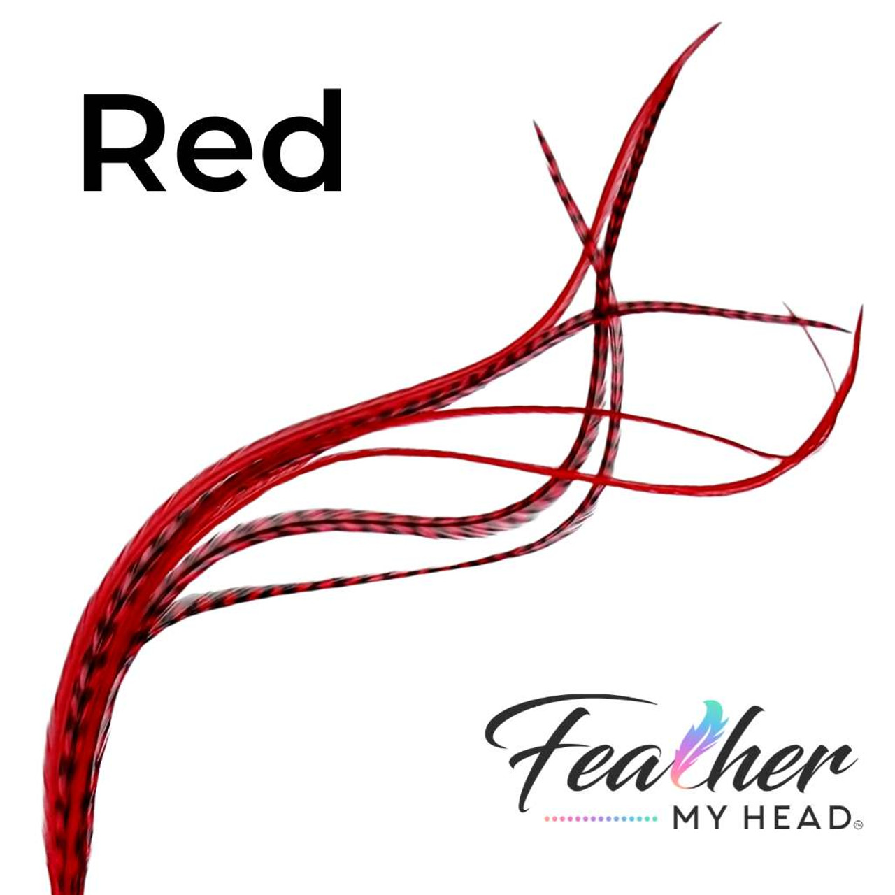 Red | Hair Feathers