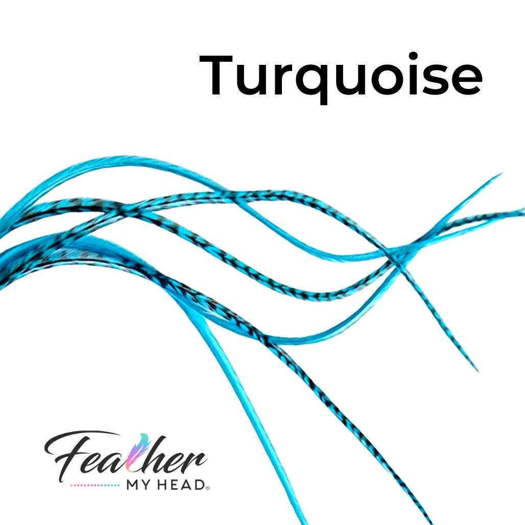 Turquoise Blue Hair Feather Extensions. Long Lengths and Hair Feather