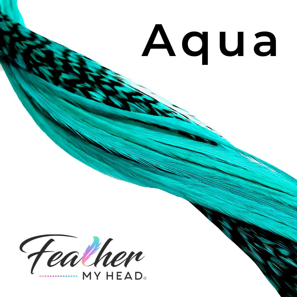 Hair Feathers Green Blue Feather My Head