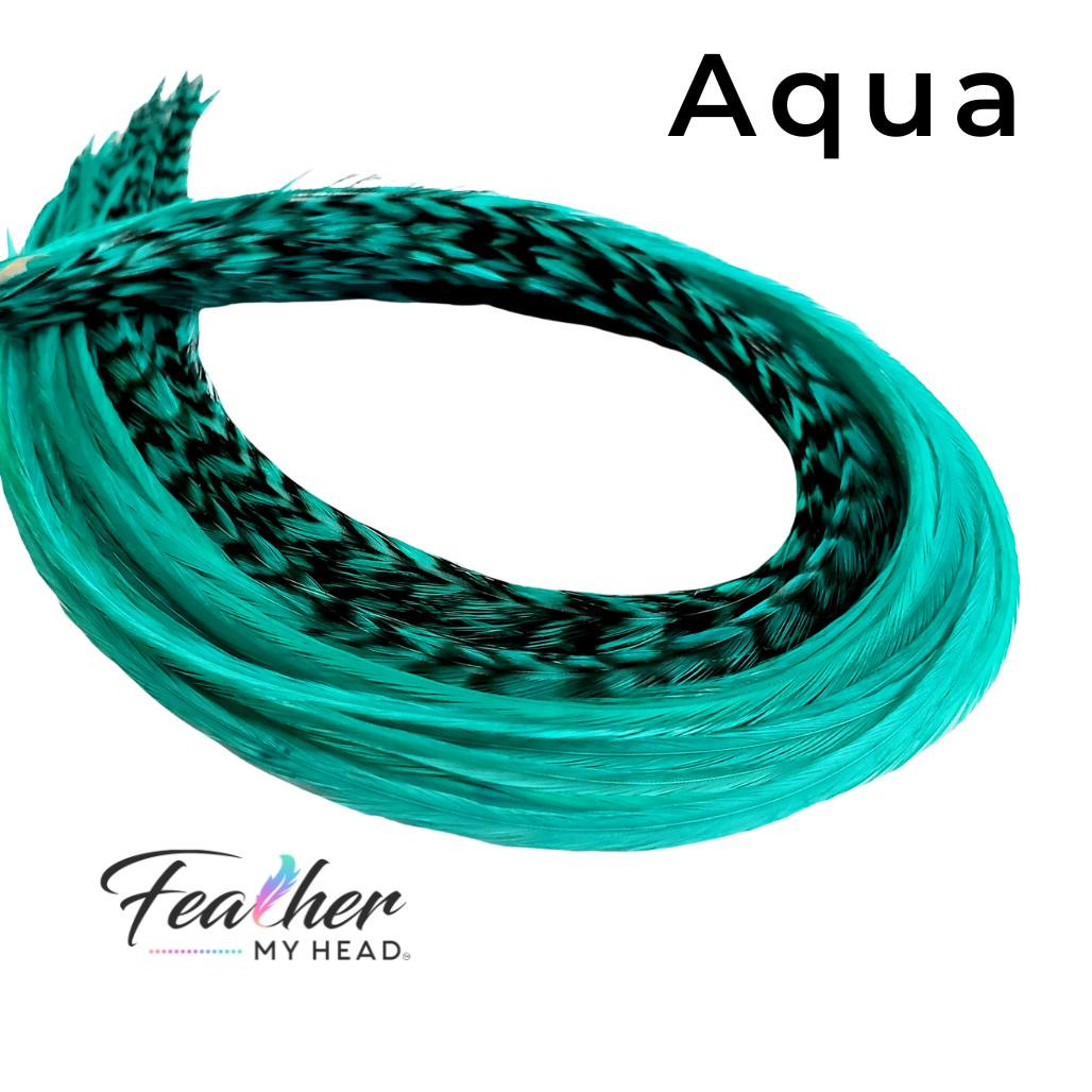 Hair Feathers Green Blue Feather My Head