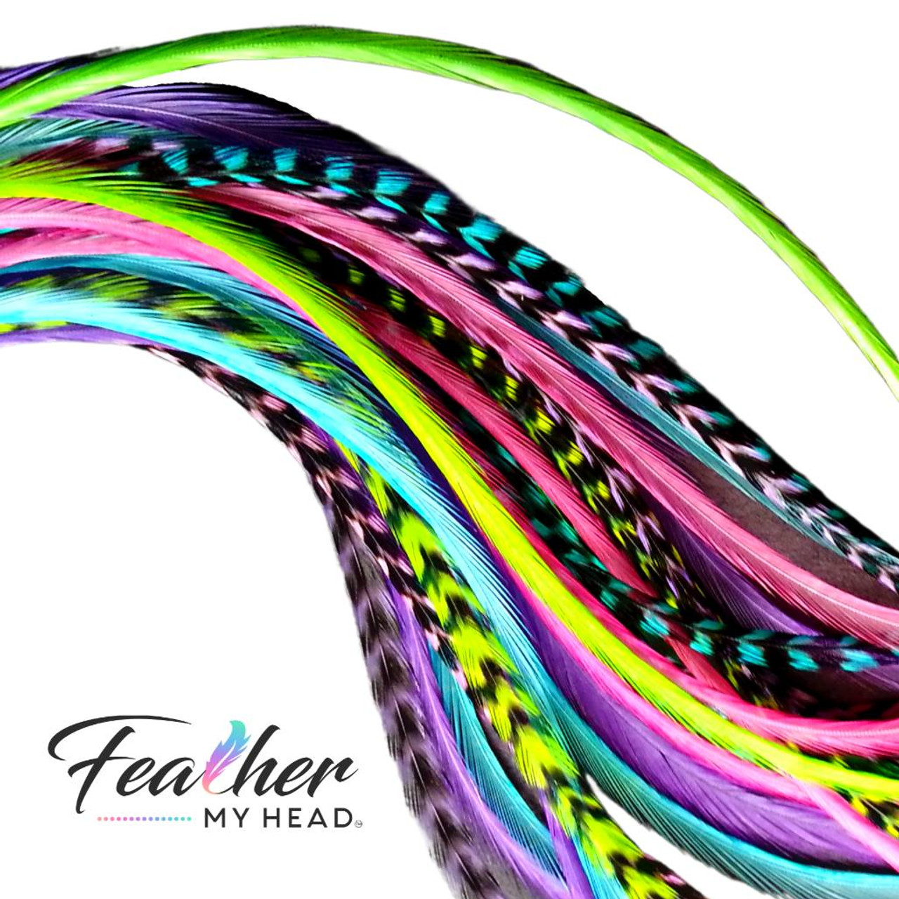 Pink, Green, Purple and Blue Hair Feathers - Feather My Head Hair Feathers