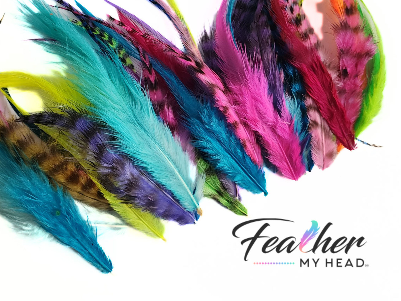 Rooster Feathers, Short Feathers, Wide and Fluffy