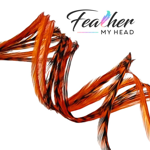 Feather My Head hair feathers dyed a sapphire orange color