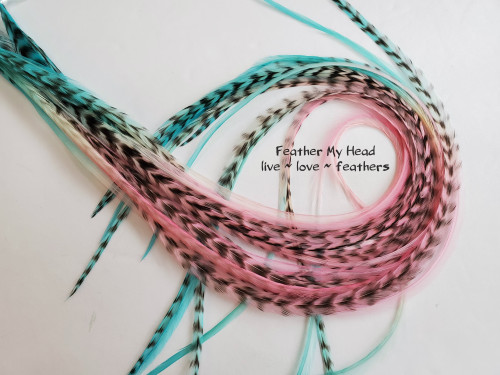 Rainbow hair feathers.  Hand dyed by Feather My Head in shades of pink and aqua.  Hair feather kit available