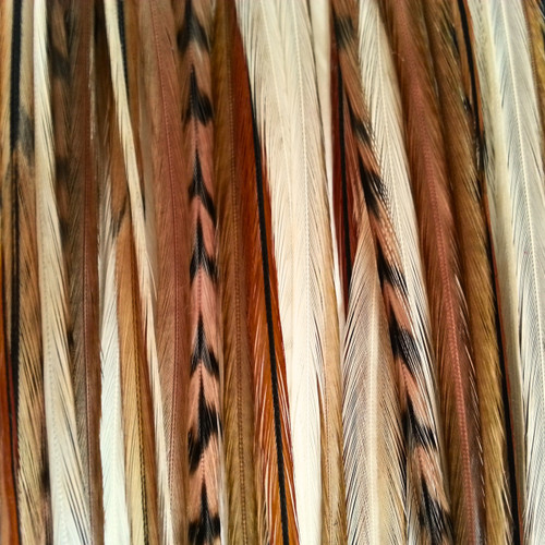 6 Pieces - XL SOLID BROWN Thin Rooster Hair Extension Feathers