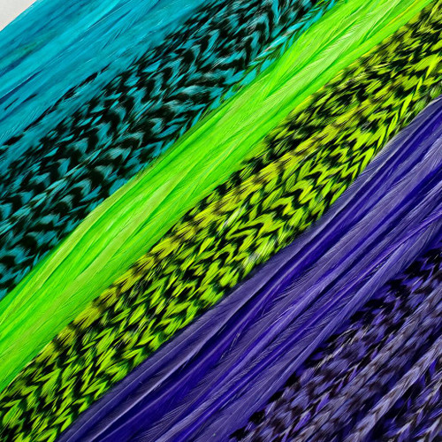 Pink, Green, Purple and Blue Hair Feathers - Feather My Head Hair Feathers