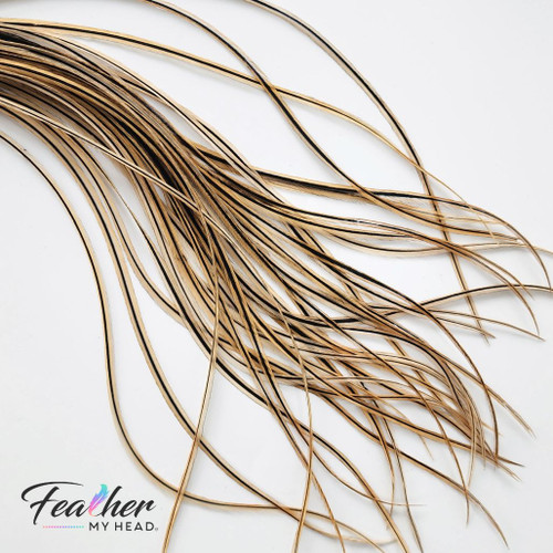 Looking for a unique way to add some flair to your hairstyle? Gold Badger Natural Hair Feathers are the perfect solution! Our feathers are blonde with a daring black streak down the center, adding a bit of personality and style to any look.
