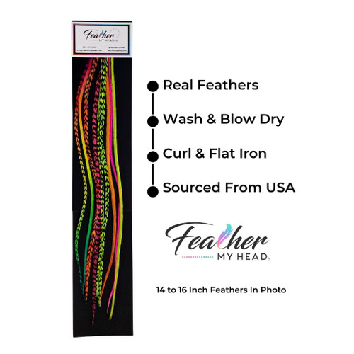  Feather Hair Extensions, 100% Real Rooster Feathers, Long  Rainbow Colors (RAIN mix) : Beauty & Personal Care