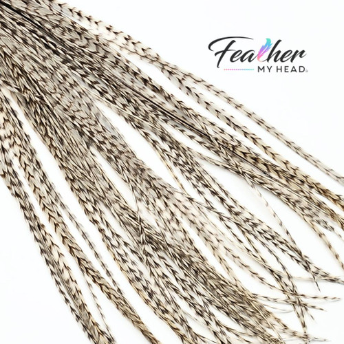 Dun Grizzly Hair Feathers -Real Feathers for Feather Hair Extensions in a White - Cream Color with Tan Stripes
Dun Grizzly feathers are real rooster feathers with a distinctive color and pattern. The Tan grizzly stripe gives this feather it's stunning visual appeal.  The striped pattern flow along the length of the adding a contrasting pattern and texture against the cream - white feather.