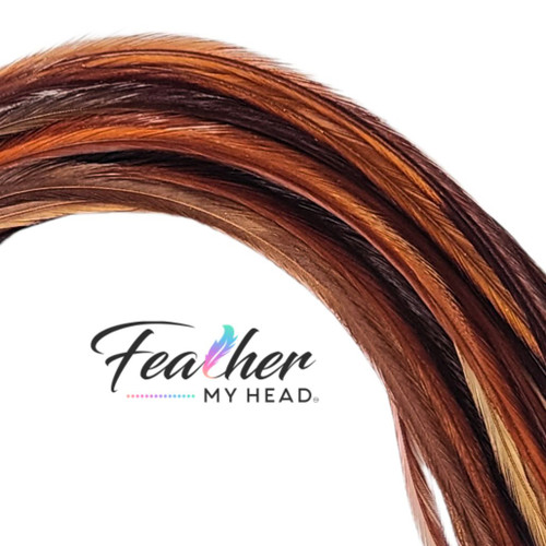 25 Feathers for hair extensions 6-11 Natural Mixes of brown & Grizzly Feathers  for hair extensions 