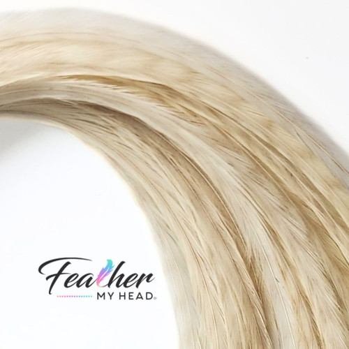Feather Hair Extensions, Chicago, IL