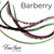 Barberry Hair Feather Extension Collection of hair feathers dyed colors of Plum Purple, Moss Green, Sage Green and Natural Grizzly. 
